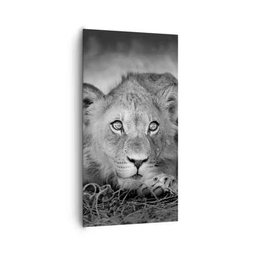 Bild auf Leinwand - Leinwandbild - Königlicher Welpe - 65x120 cm