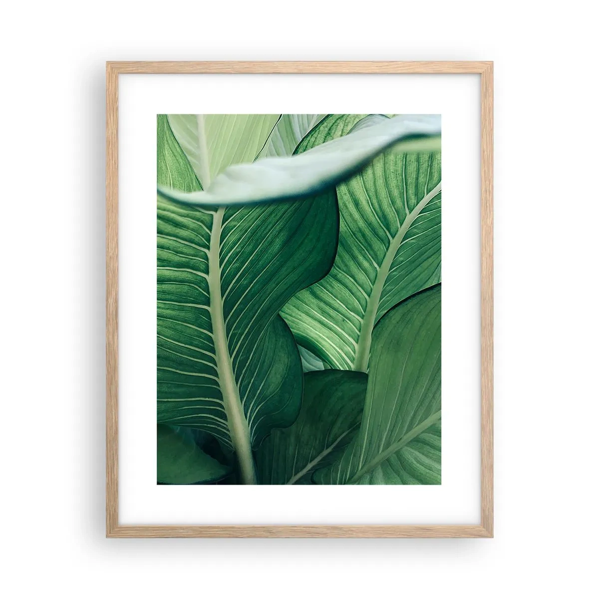 Poster in einem Rahmen aus heller Eiche - Intensiv grünes Leben - 40x50 cm