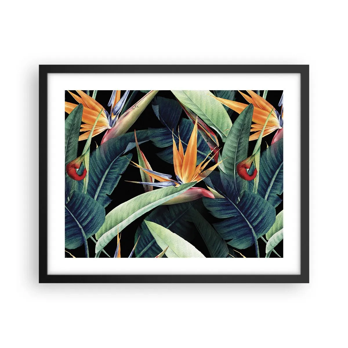 Poster in einem schwarzem Rahmen - Flammende Blumen der Tropen - 50x40 cm