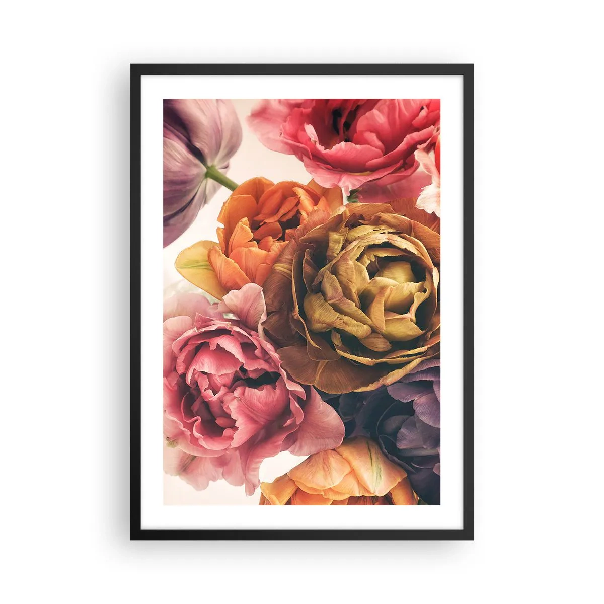 Poster in einem schwarzem Rahmen - Bunte Pfingstrosenblüten in künstlerischer Umsetzung - 50x70cm - Eine Feier des Lebens - Moderne Wanddekoration für Wohnzimmer und Schlafzimmer ARTTOR