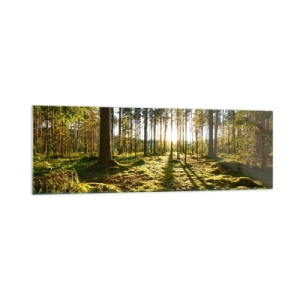 Glasbild - Bild auf glas - Grüner Wald, beleuchtet durch Sonnenlicht auf dem Moos - 160x50cm - … Hinter den sieben Wäldern - Moderne Wanddekoration für Wohnzimmer und Schlafzimmer ARTTOR