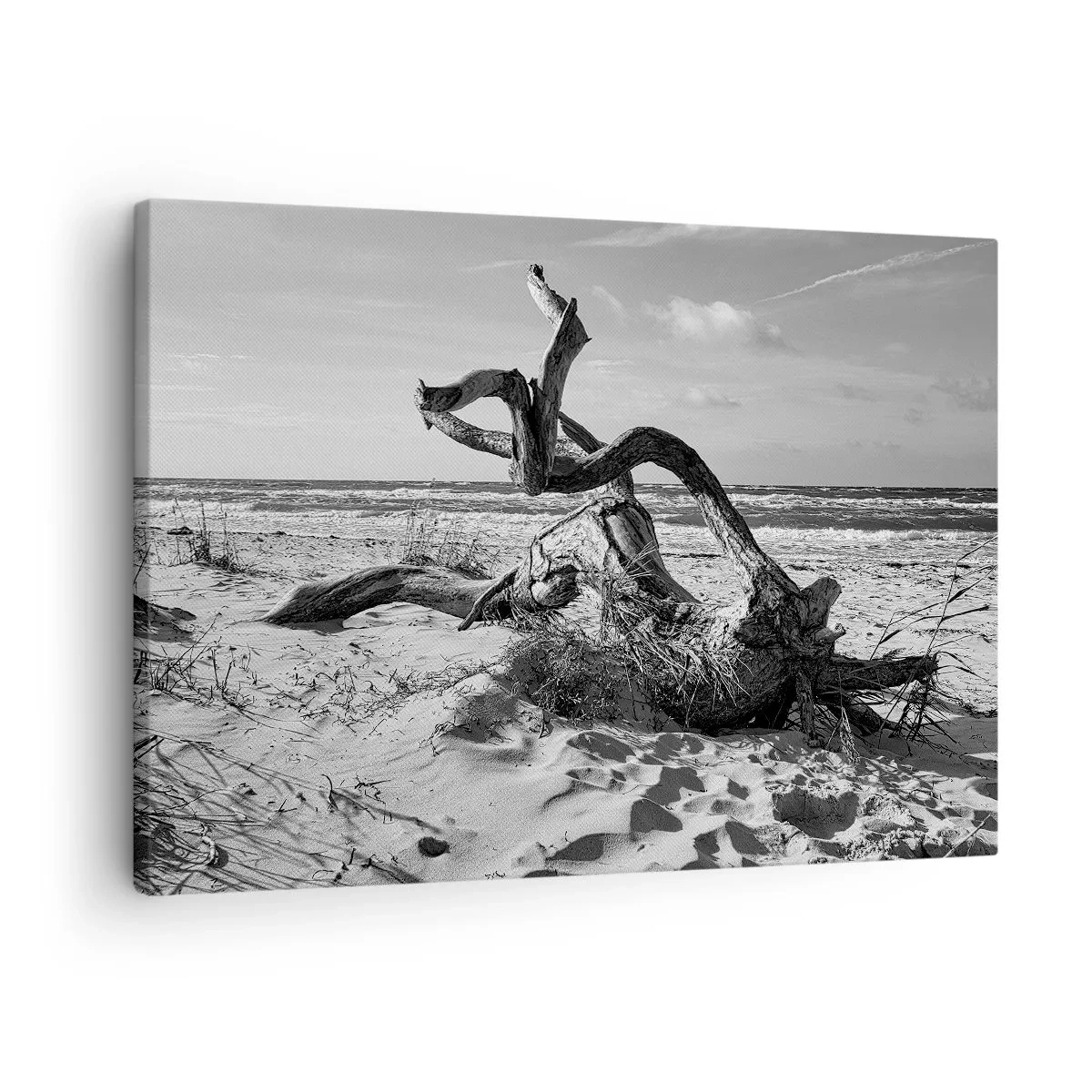 Bild auf Leinwand - Leinwandbild - Schwarz-weiße Landschaft mit einem toten Baum am Strand - 70x50cm - Meeresskulptur - Moderne Wanddekoration für Wohnzimmer und Schlafzimmer ARTTOR