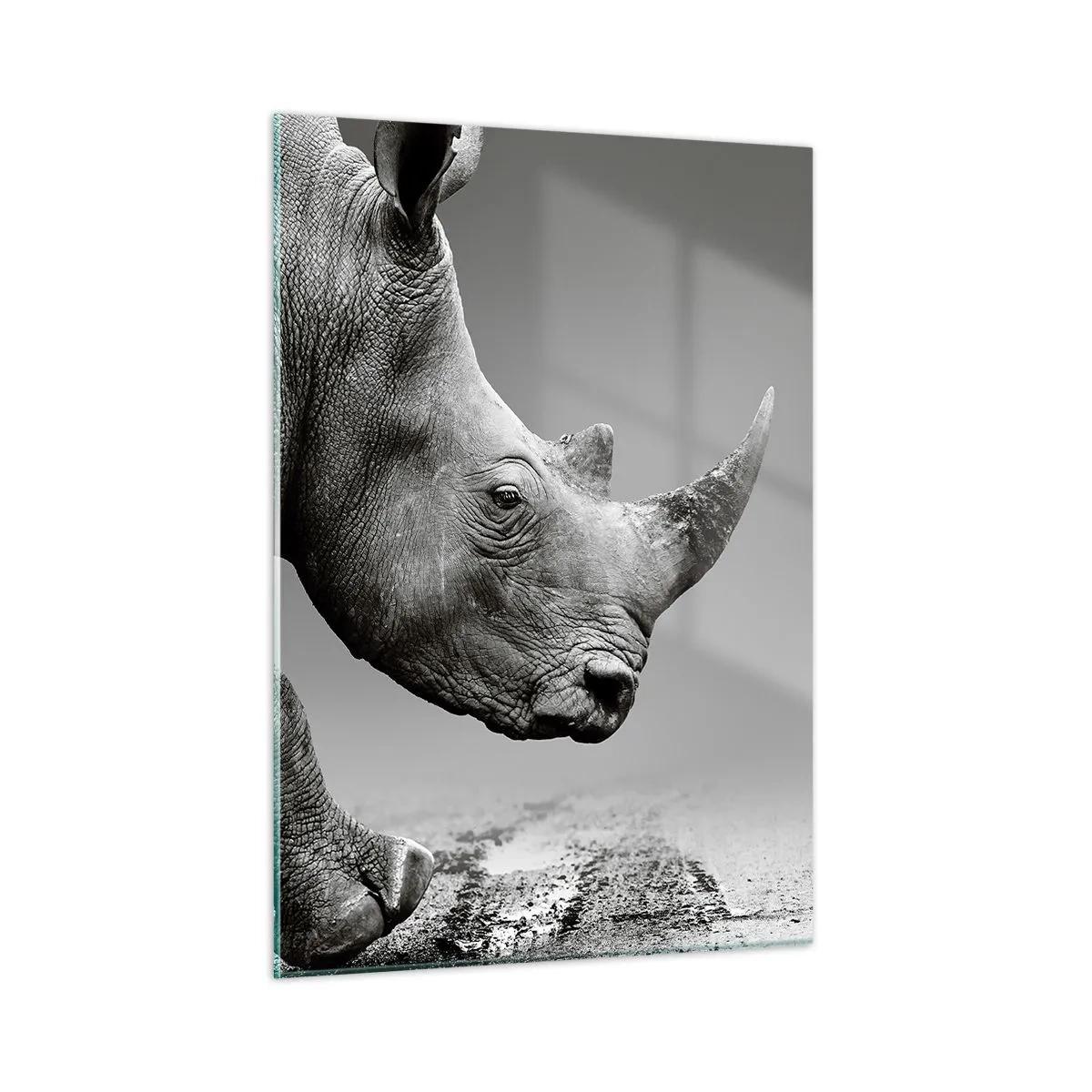 Glasbild - Bild auf glas - Ein Nashorn in Bewegung vor grauem Hintergrund - 50x70cm - Unaufhaltsame Stärke - Moderne Wanddekoration für Wohnzimmer und Schlafzimmer ARTTOR