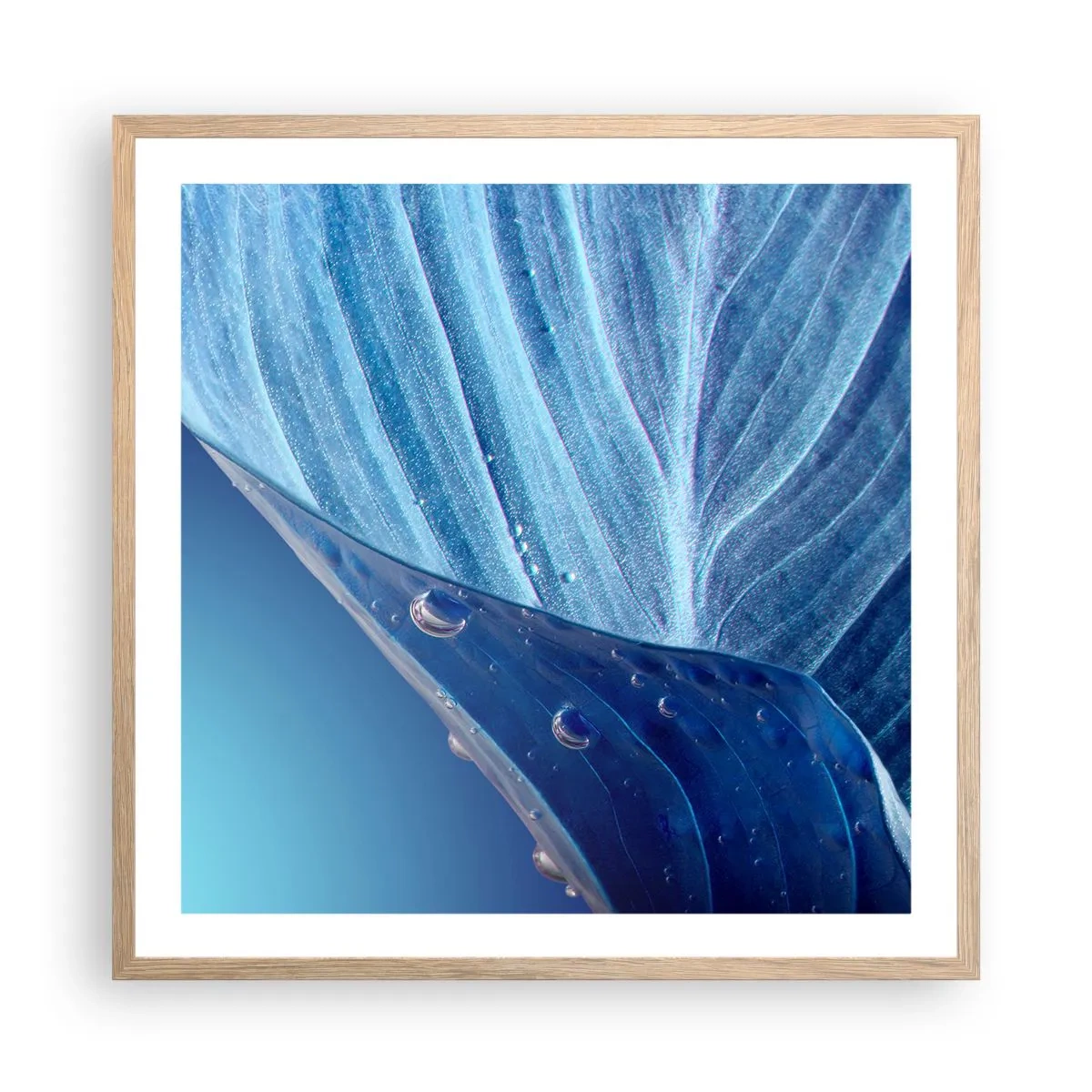 Poster in einem Rahmen aus heller Eiche - Versteckte Tropfen vom Blau - 60x60 cm