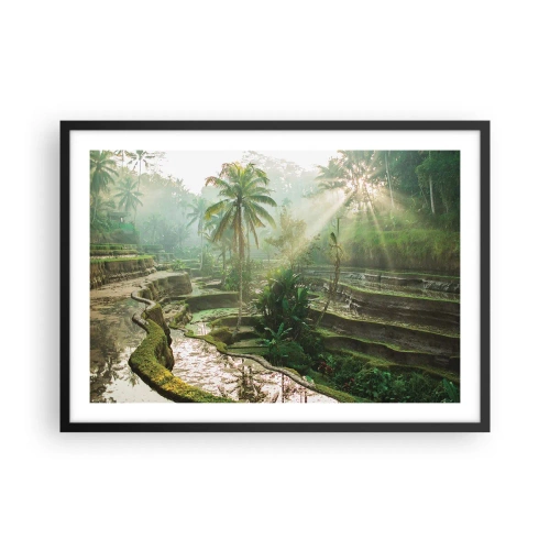 Poster in einem schwarzem Rahmen - Reisterrassen mit Palmen in den Sonnenstrahlen - 70x50cm - In der Sonne aufwachsen - Moderne Wanddekoration für Wohnzimmer und Schlafzimmer ARTTOR