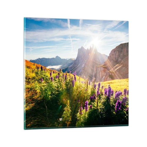 Glasbild - Bild auf glas - Das geheime Leben der Kräuter - 30x30 cm