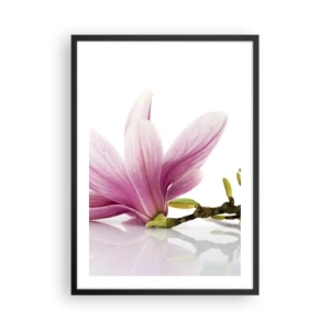 Poster in einem schwarzem Rahmen - Rosa Magnolienblüte auf einem Zweig mit weißem Hintergrund - 50x70cm - Zart wie ein Frühlingswind - Moderne Wanddekoration für Wohnzimmer und Schlafzimmer ARTTOR
