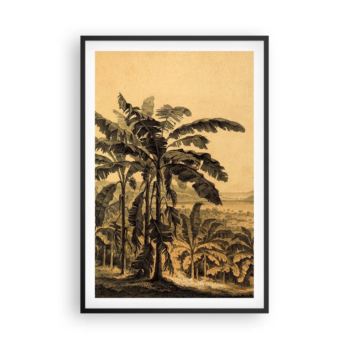 Poster in einem schwarzem Rahmen - in einem kolonialen Klima - 61x91 cm