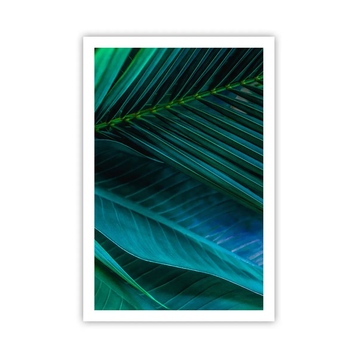 Poster - Die Anatomie des Grüns - 61x91 cm