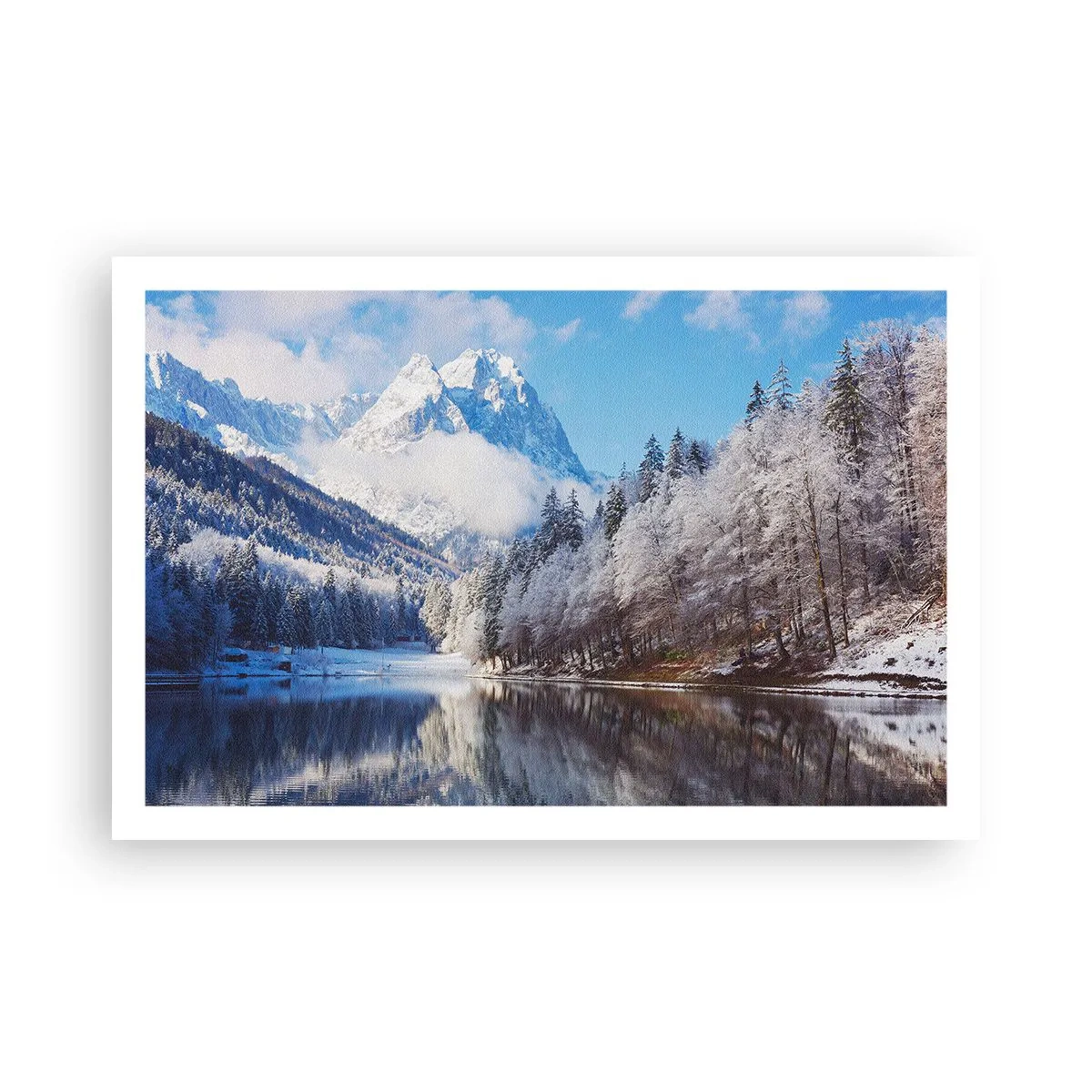 Poster - Schneefang - 91x61 cm