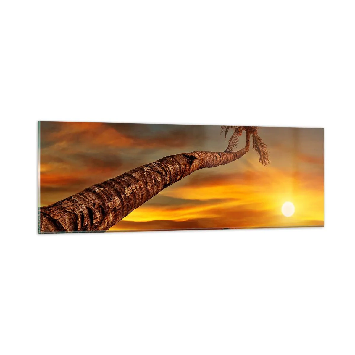 Glasbild - Bild auf glas - Exotischer Urlaub, karibisches Abenteuer - 90x30 cm