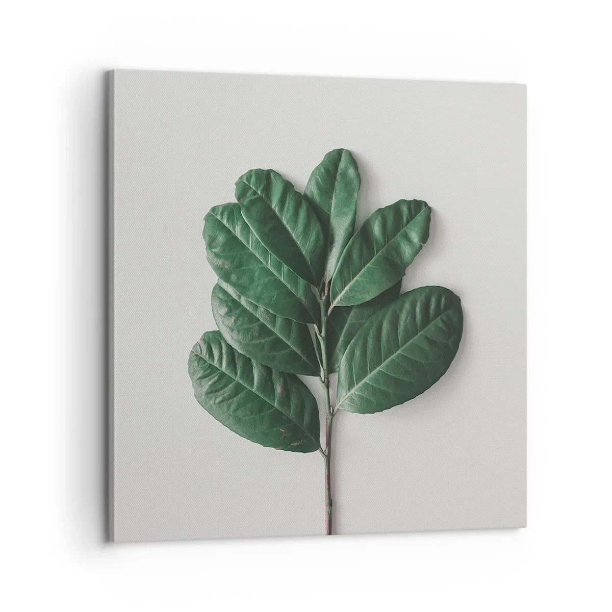 Bild auf Leinwand - Leinwandbild - Eine Zeichnung purer Natur - 60x60 cm