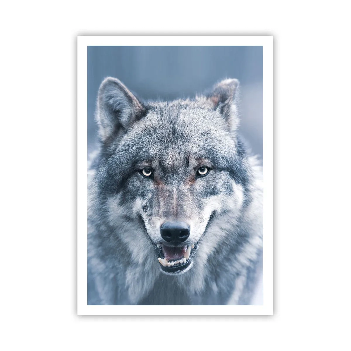 Poster - Werden Sie die Herausforderung annehmen? - 70x100 cm