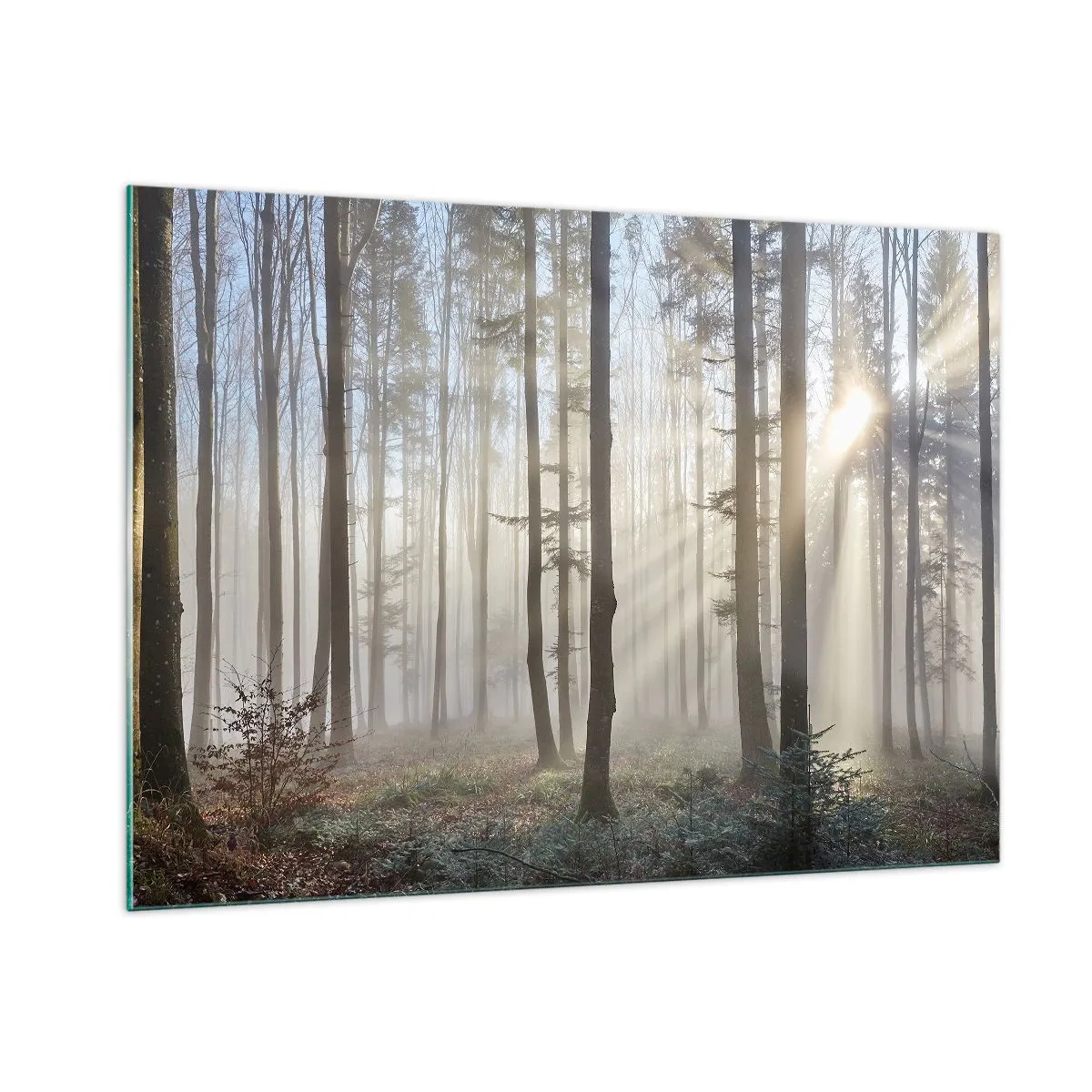 Glasbild - Bild auf glas - Morgensonnenstrahlen durchdringen den nebligen Wald - 100x70cm - Der Nebel ist auch aufgewacht - Moderne Wanddekoration für Wohnzimmer und Schlafzimmer ARTTOR