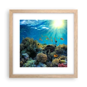 Poster in einem Rahmen aus heller Eiche - Unterwasserschätze - 30x30 cm