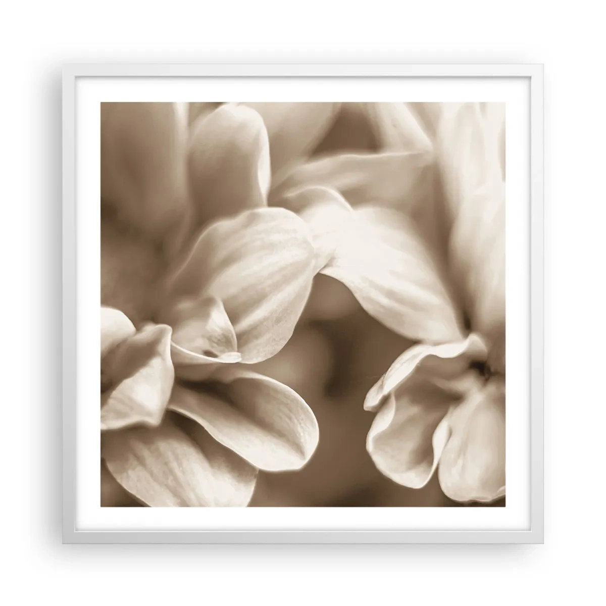 Poster in einem weißen Rahmen - So sanft wie ein Lächeln - 60x60 cm