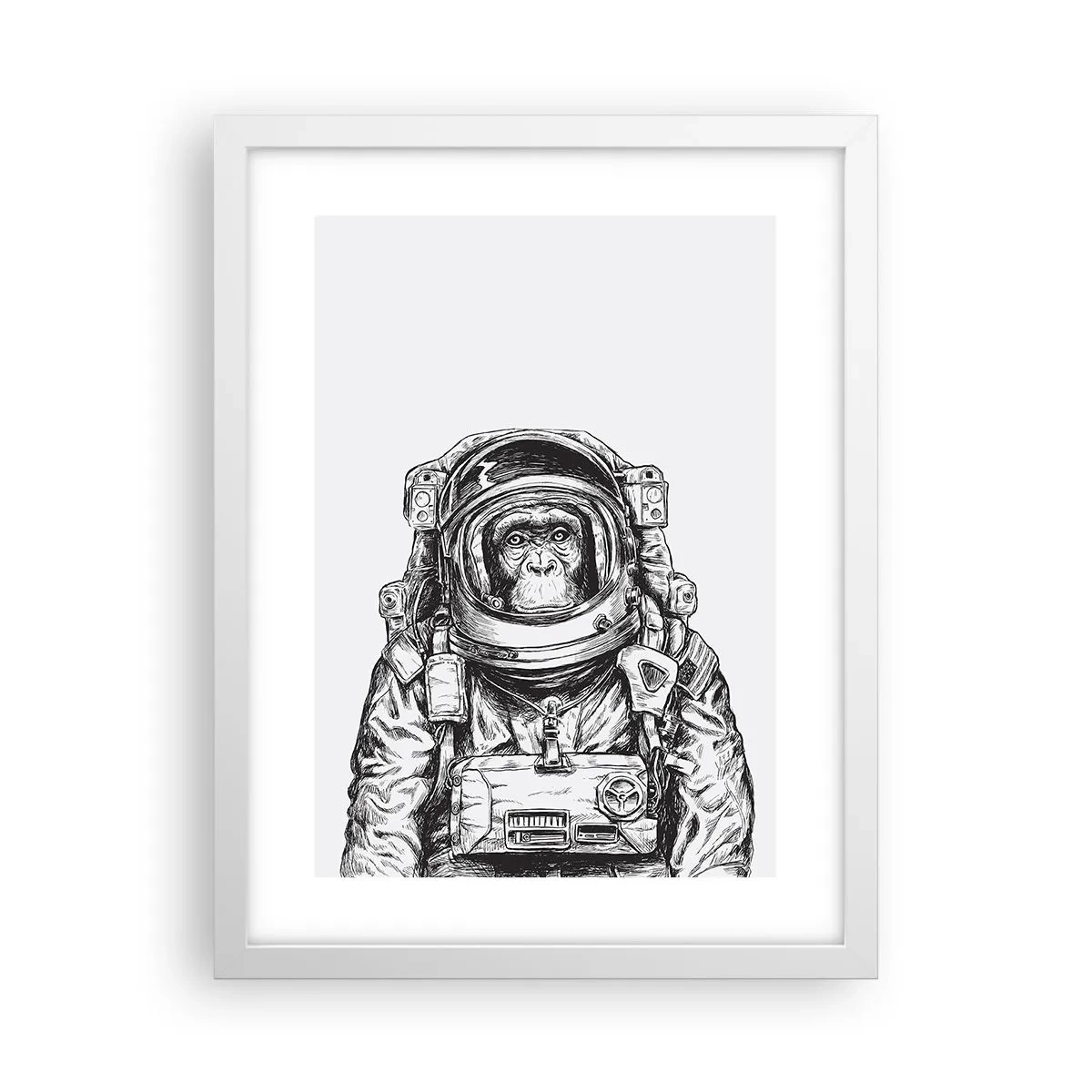 Poster in einem weißen Rahmen - Alternative Evolution - 30x40 cm