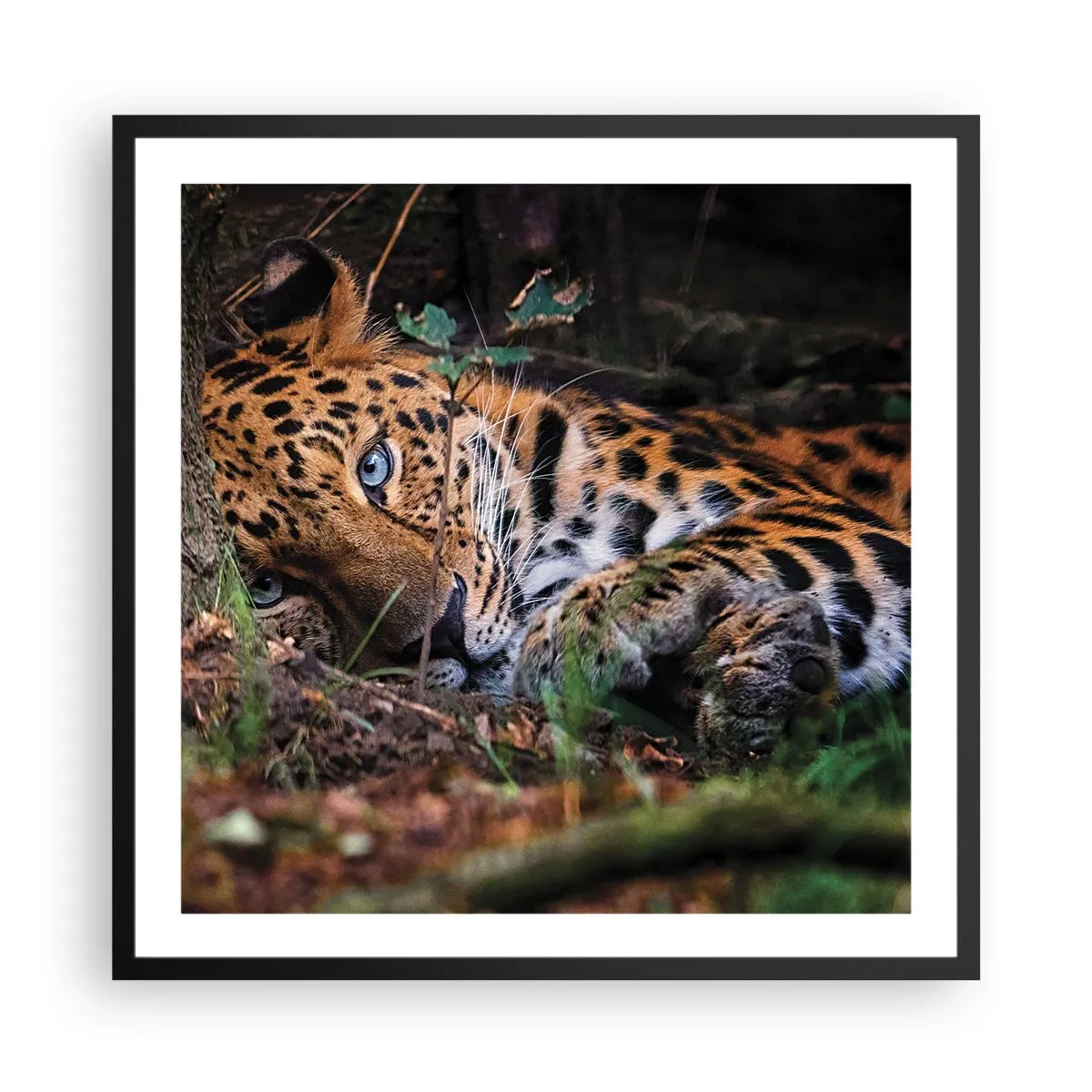 Poster in einem schwarzem Rahmen - Vertrau mir - 60x60 cm