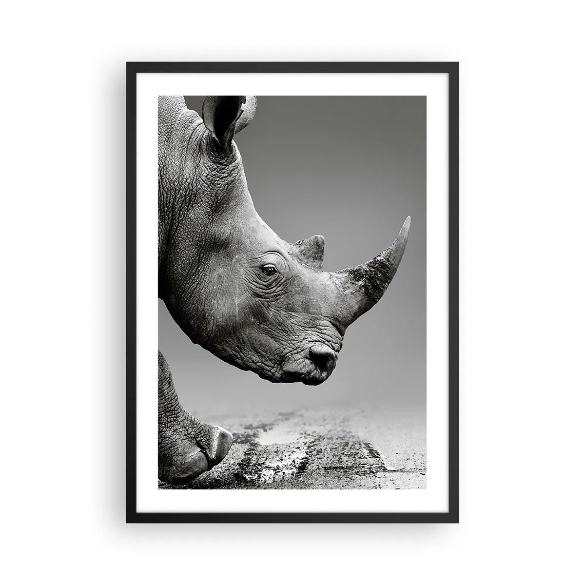 Poster in einem schwarzem Rahmen - Schwarz-Weiß-Nahaufnahme des Kopfes eines Nashorns - 50x70cm - Unaufhaltsame Stärke - Moderne Wanddekoration für Wohnzimmer und Schlafzimmer ARTTOR