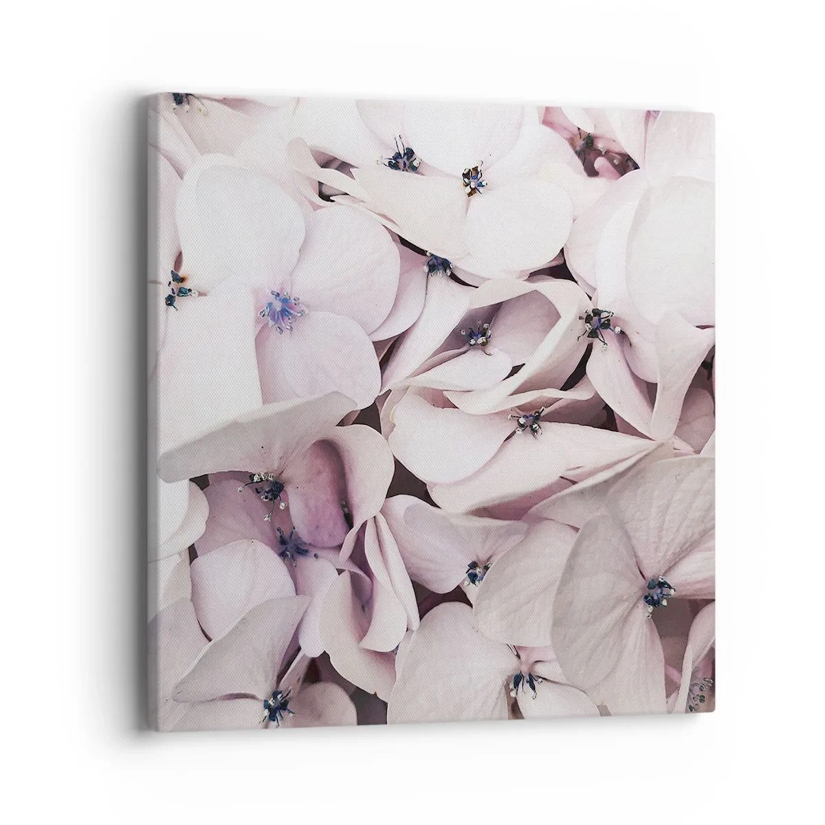 Bild auf Leinwand - Leinwandbild - In einer Blumenflut - 40x40 cm