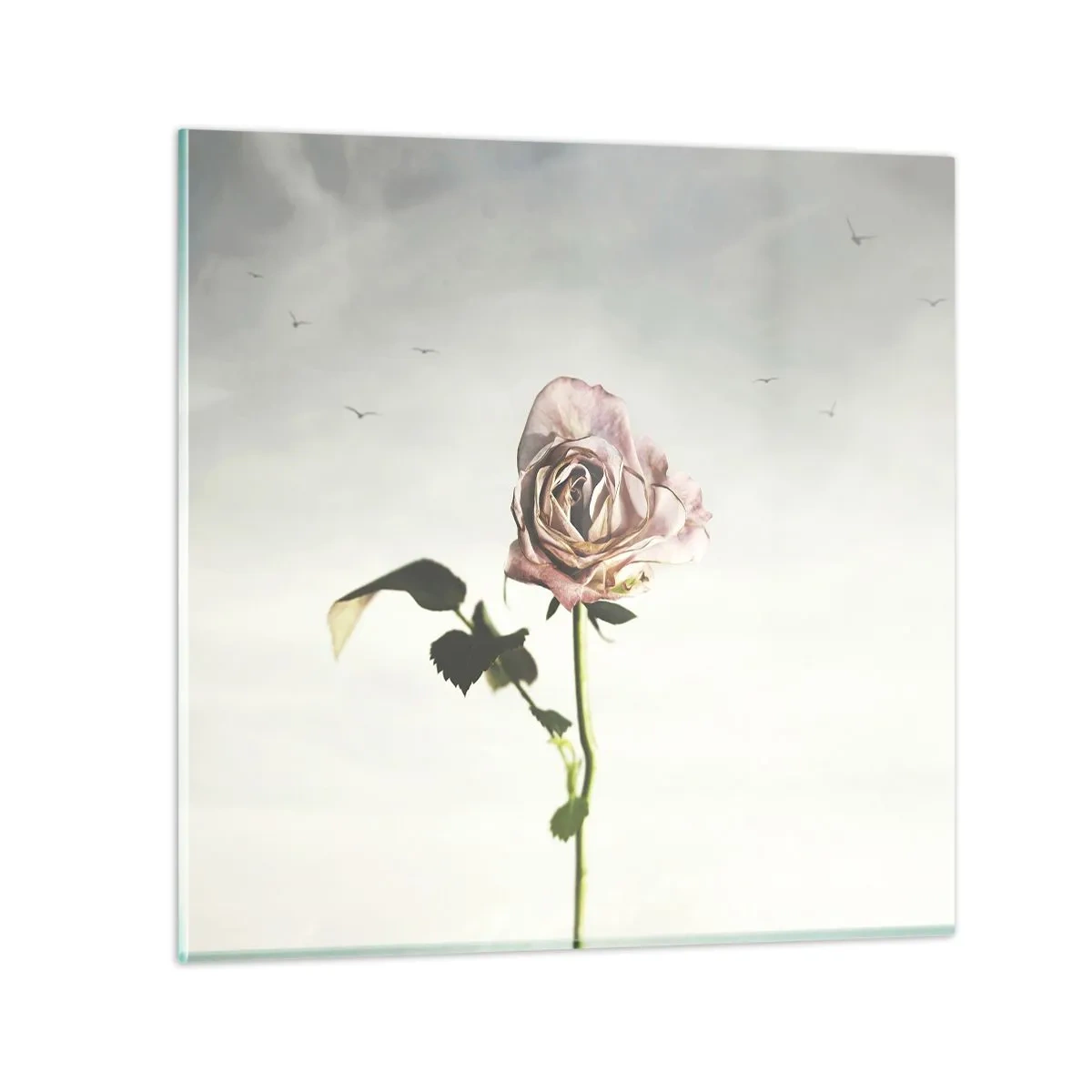 Glasbild - Bild auf glas - Begrüßung des Frühlings - 70x70 cm