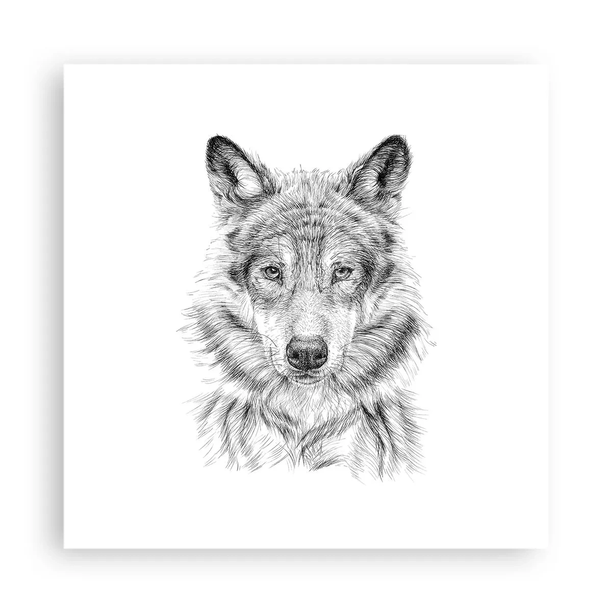 Poster - Ein geborener Anführer - 40x40 cm