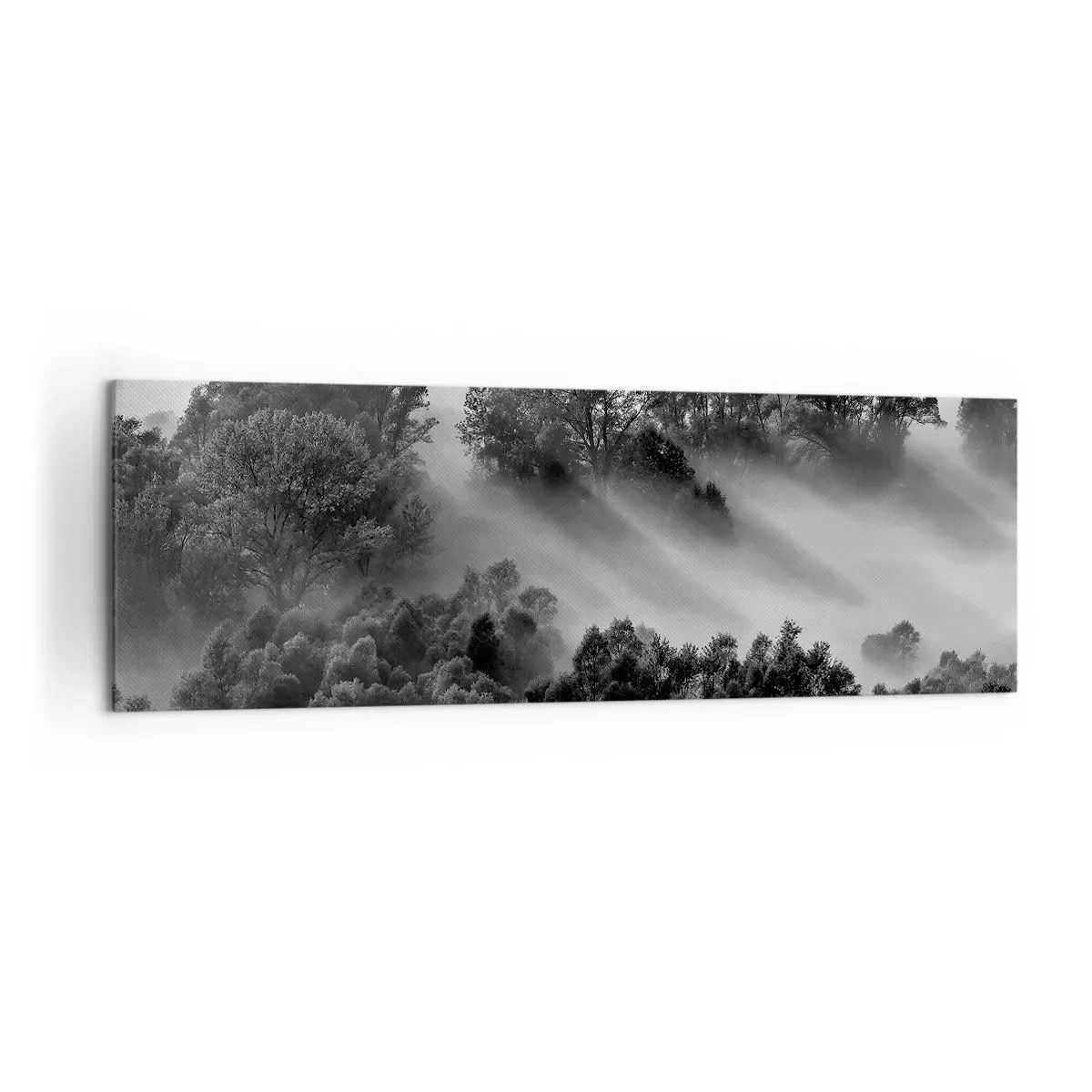 Bild auf Leinwand - Leinwandbild - Schwarz-weiße Waldlandschaft im Morgennebel - 160x50cm - Aufstehend aus dem Schlaf - Moderne Wanddekoration für Wohnzimmer und Schlafzimmer ARTTOR