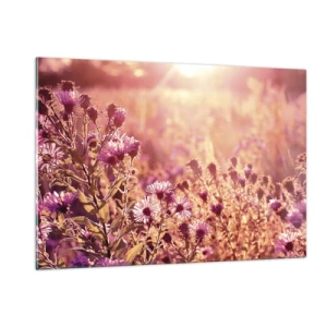 Glasbild - Bild auf glas - Lila Blumen auf der Wiese im Licht der untergehenden Sonne - 120x80cm - Bevor der Sommer vorbei ist - Moderne Wanddekoration für Wohnzimmer und Schlafzimmer ARTTOR