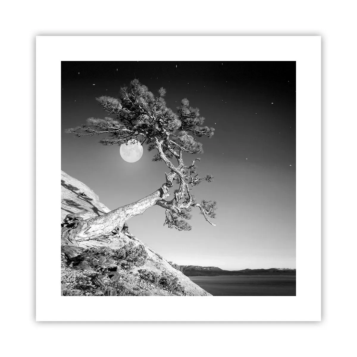 Poster - Siegreiche Kämpferin - 40x40 cm