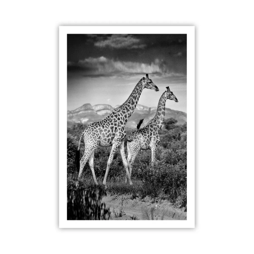 Poster - Hohe Sphären in Afrika - 61x91 cm