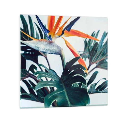 Glasbild - Bild auf glas - Vogelbusch - 30x30 cm