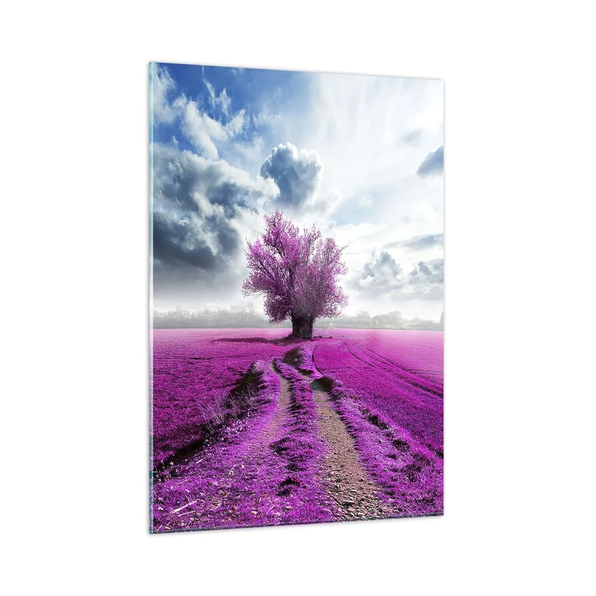 Glasbild - Bild auf glas - Ein Baum in einem Heidefeld unter einem dynamischen Himmel - 50x70cm - Heide - Wildnis - Moderne Wanddekoration für Wohnzimmer und Schlafzimmer ARTTOR