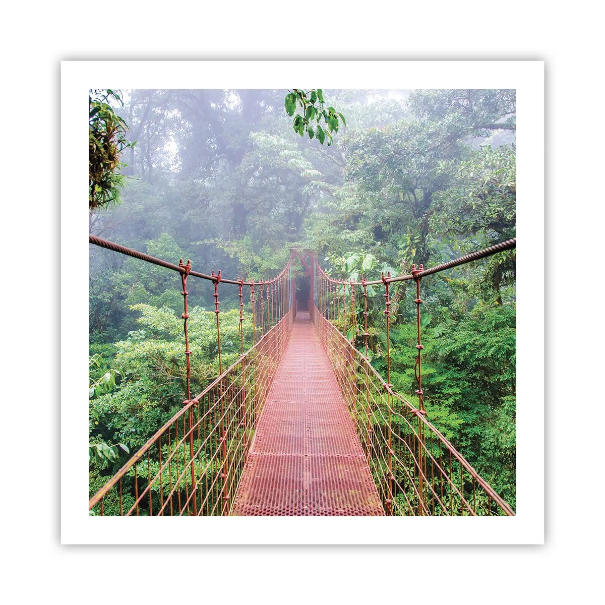 Poster - Über den Kronen aufgehängt - 60x60 cm