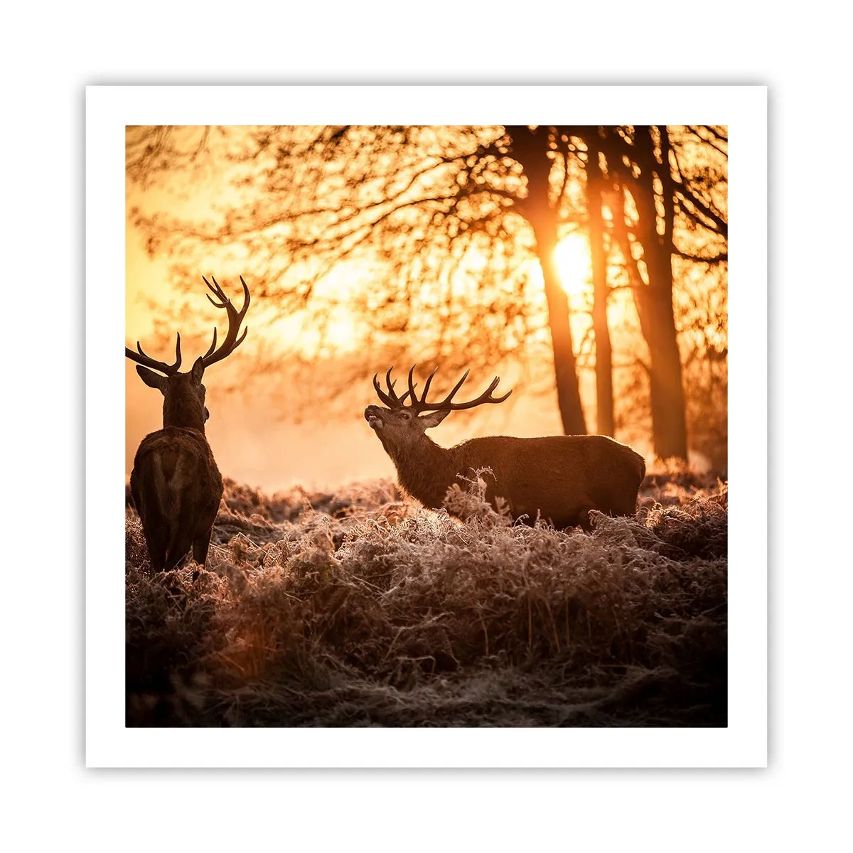 Poster - Der Traum eines Jägers - 60x60 cm