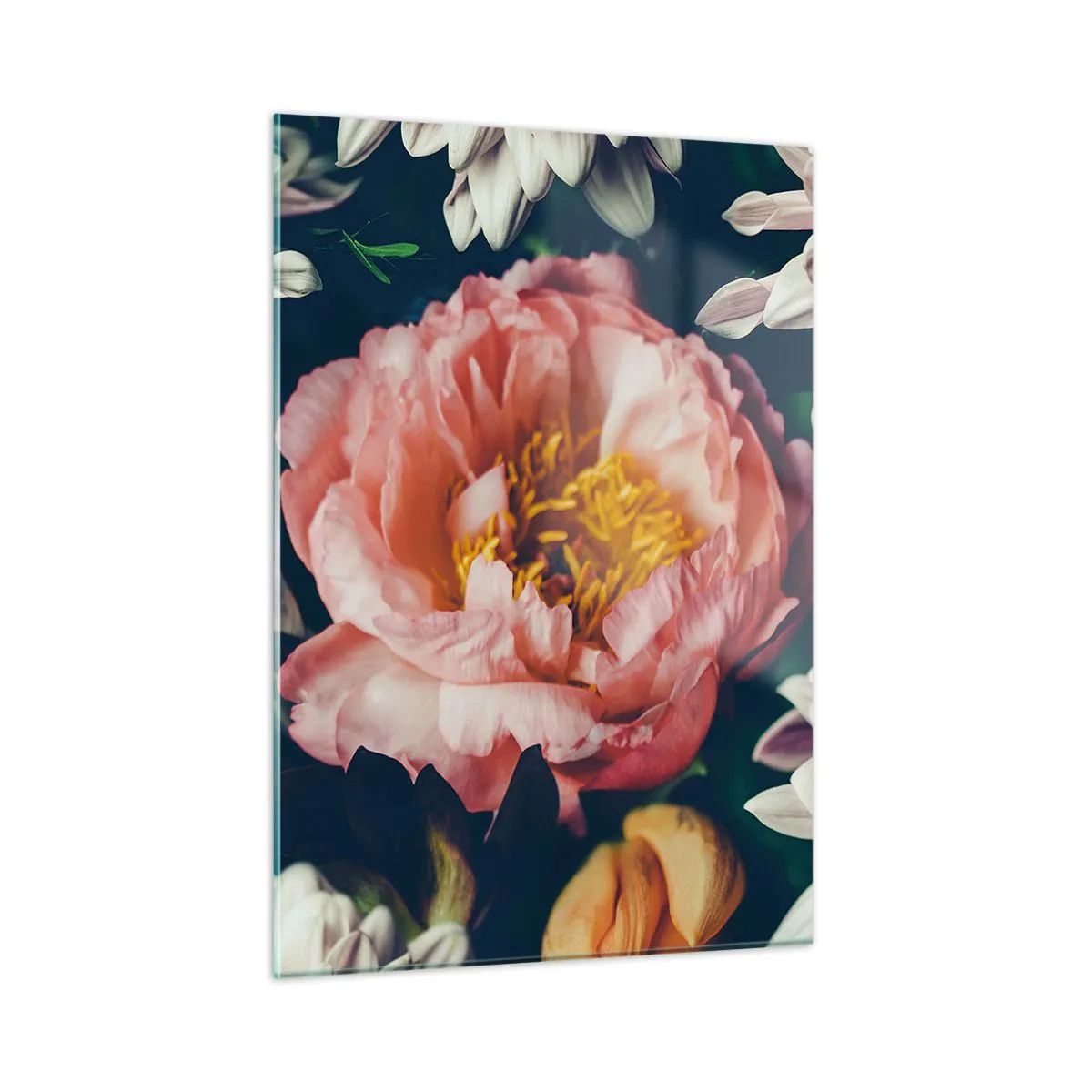 Glasbild - Bild auf glas - Nahaufnahme von Pfingstrosen und Chrysanthemen in Pastelltönen - 50x70cm - Mit barocker Pracht - Moderne Wanddekoration für Wohnzimmer und Schlafzimmer ARTTOR