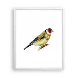 Poster in einem weißen Rahmen - Vogelporträt - 40x50 cm