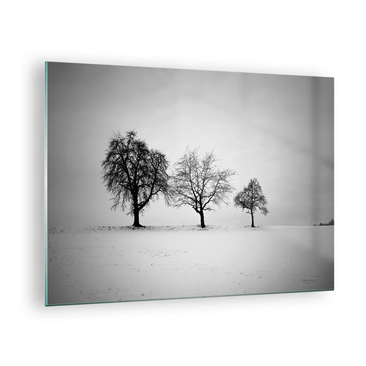 Glasbild - Bild auf glas - Drei einsame Bäume in einer schneebedeckten Gegend - 70x50cm - Wovon träumen sie? - Moderne Wanddekoration für Wohnzimmer und Schlafzimmer ARTTOR