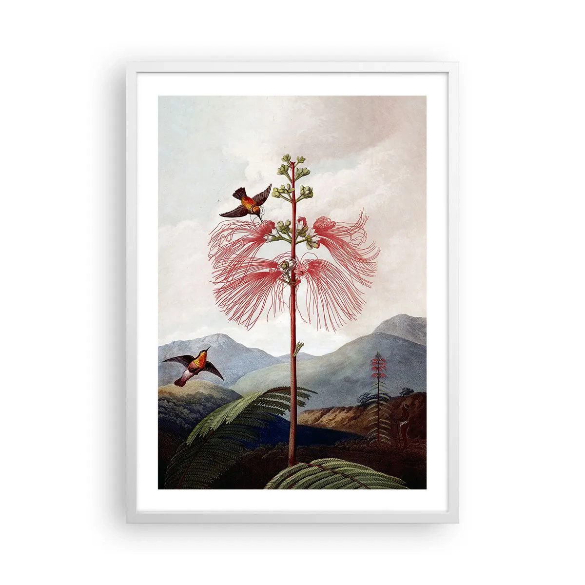 Poster in einem weißen Rahmen - In einem tropischen Paradies - 50x70 cm