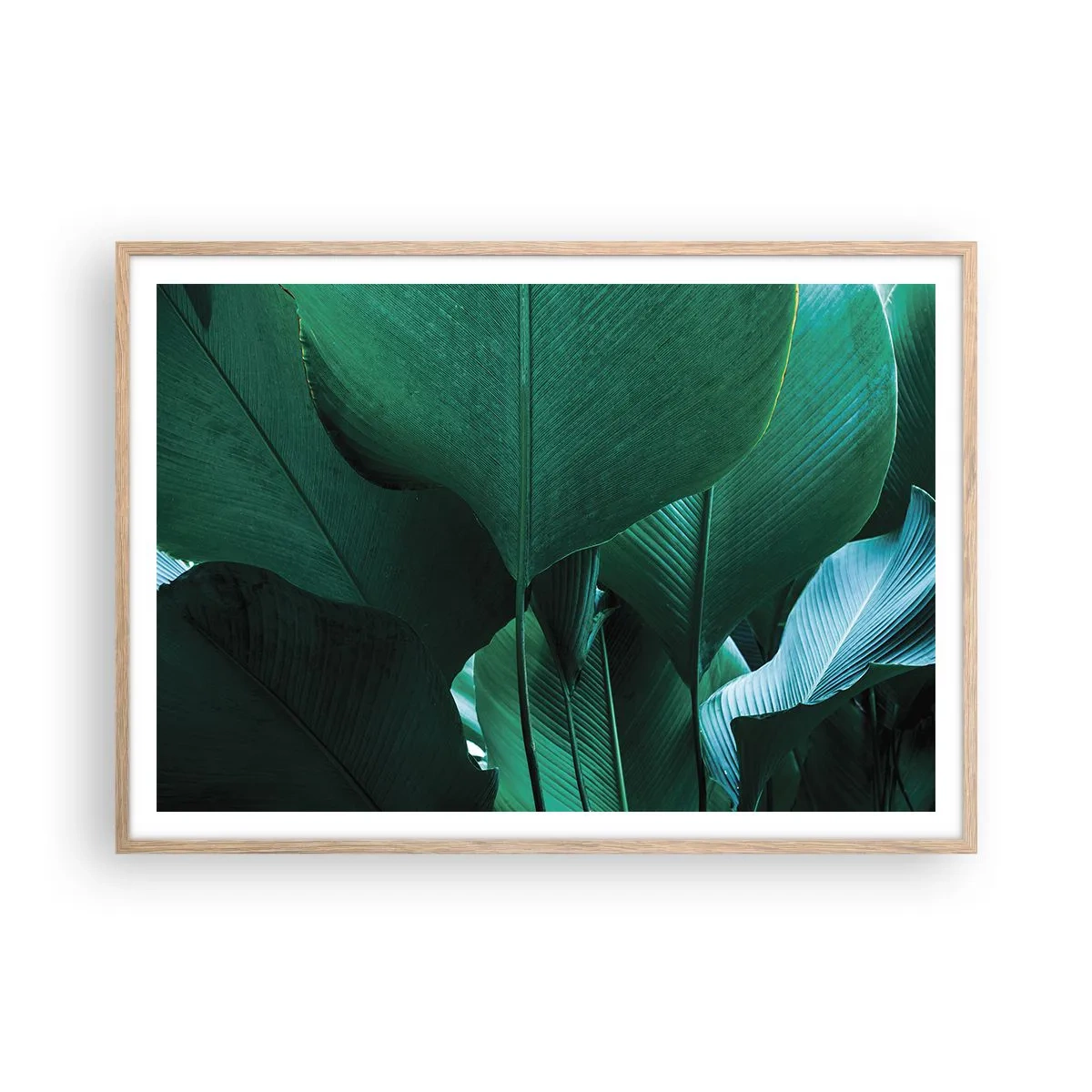 Poster in einem Rahmen aus heller Eiche - Dem Licht zugewandt - 100x70 cm
