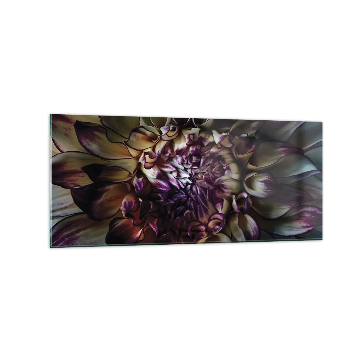 Glasbild - Bild auf glas - Nahaufnahme einer Dahlienblüte in dunklen Tönen - 120x50cm - Die Blütezeit der Jugend - Moderne Wanddekoration für Wohnzimmer und Schlafzimmer ARTTOR