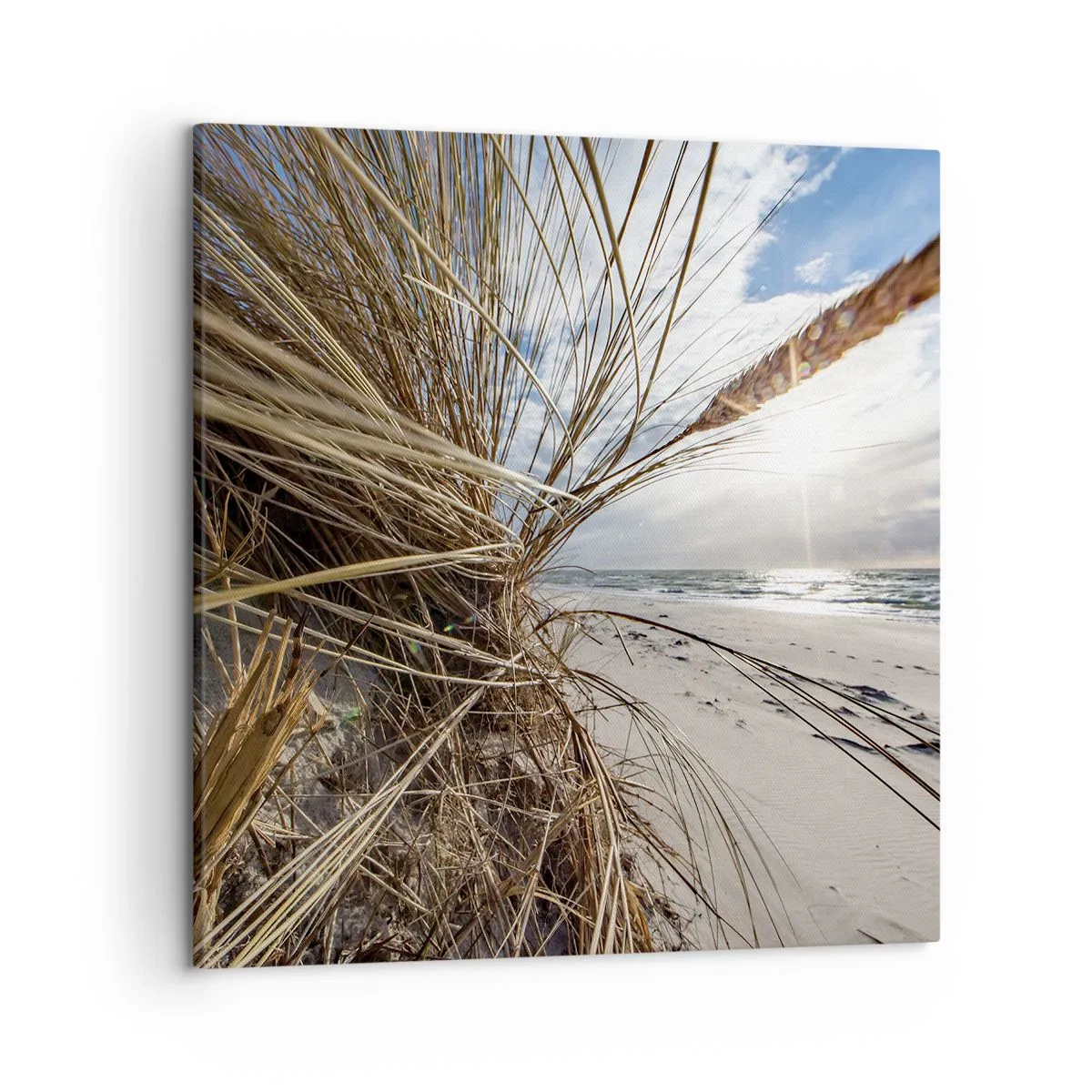 Bild auf Leinwand - Leinwandbild - Ein Treffen der Elemente der Natur - 50x50 cm