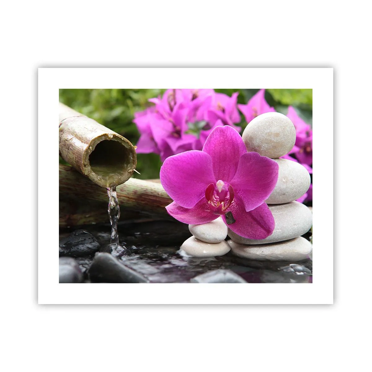 Poster - Du ruhst dich schon aus - 50x40 cm