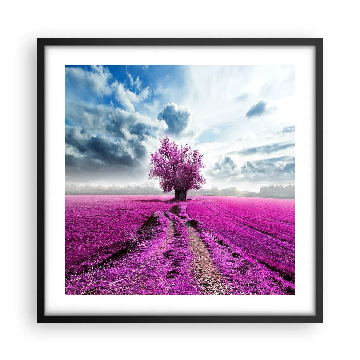 Poster in einem schwarzem Rahmen - Heide - Wildnis - 50x50 cm