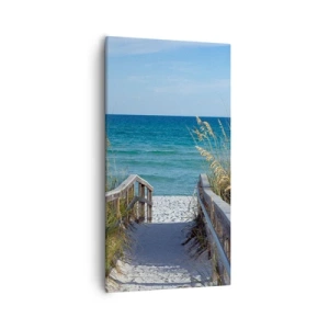 Bild auf Leinwand - Leinwandbild - In der Sonne, im Wind - 55x100 cm