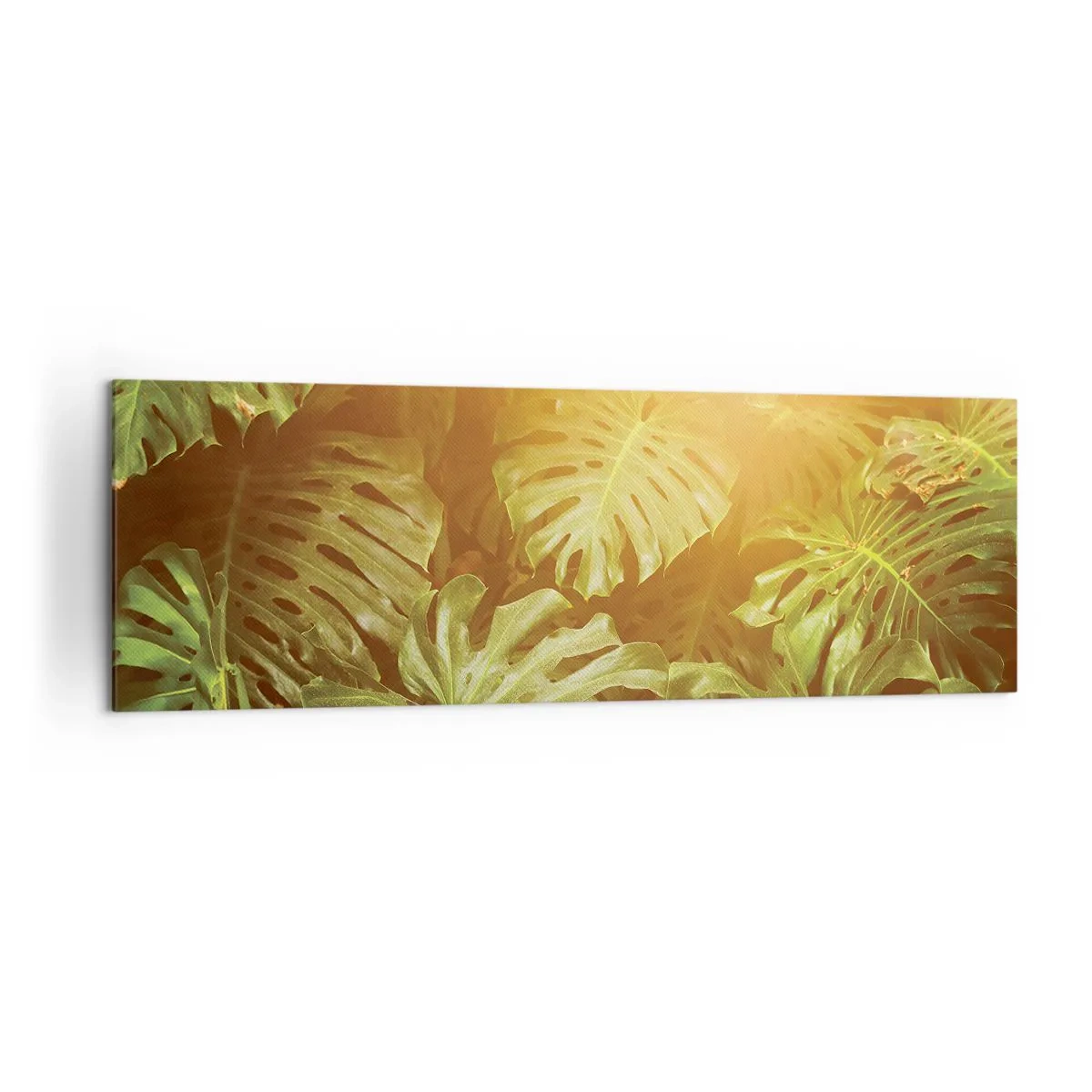 Bild auf Leinwand - Leinwandbild - Monstera-Blätter im Sonnenlicht vor einem natürlichen Hintergrund - 160x50cm - Ins Grüne tretren... - Moderne Wanddekoration für Wohnzimmer und Schlafzimmer ARTTOR