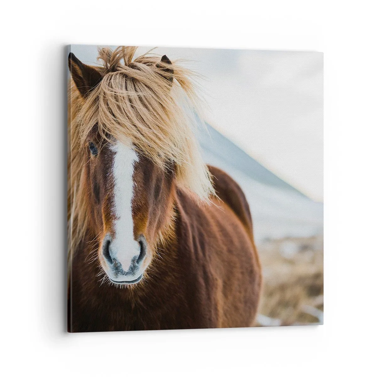 Bild auf Leinwand - Leinwandbild - Spürst du die Freiheit? - 70x70 cm