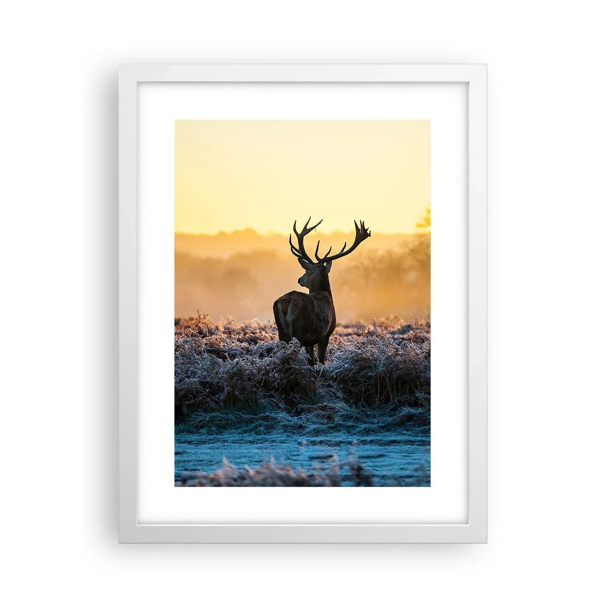 Poster in einem weißen Rahmen - Gekrönt auf seinem Besitz - 30x40 cm