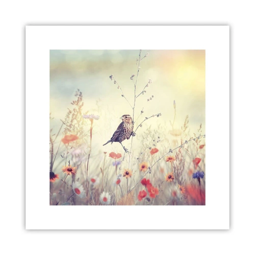 Poster - Vogelporträt mit einer Wiese im Hintergrund - 30x30 cm