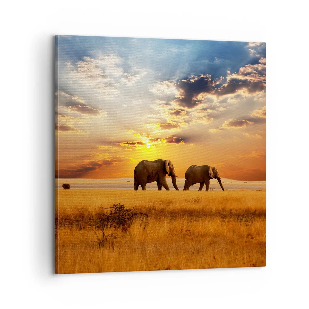 Bild auf Leinwand - Leinwandbild - Familienspaziergang - 60x60 cm