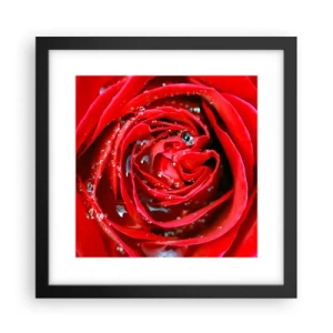 Poster in einem schwarzem Rahmen - In den Tautropfen - 30x30 cm